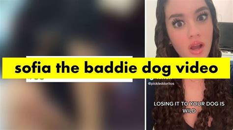 sophie the baddie dog|Digg Website 